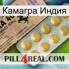 Камагра Индия 41